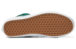 Vans Sk8 Team Wellness