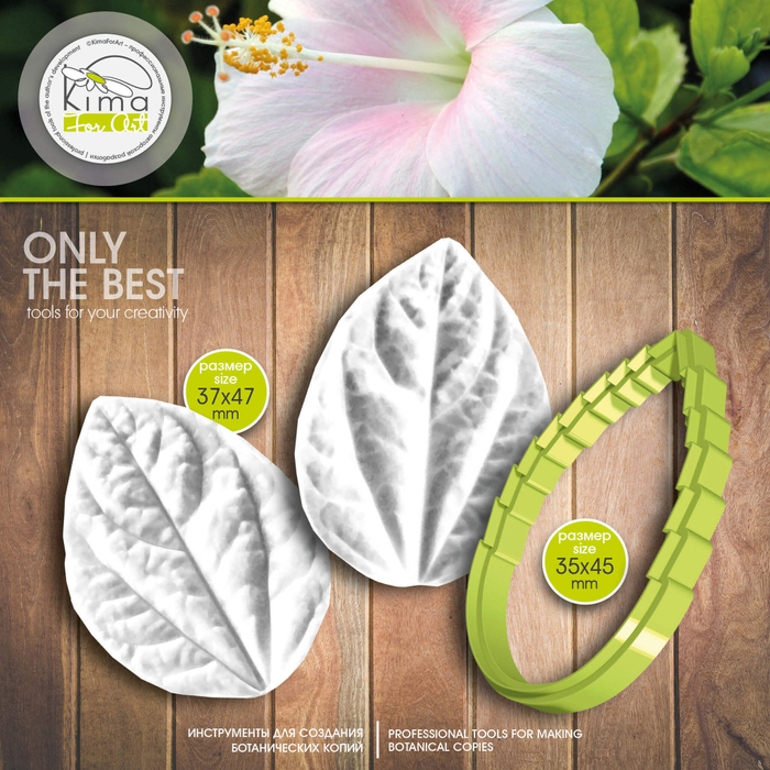 Гибискус лист средний