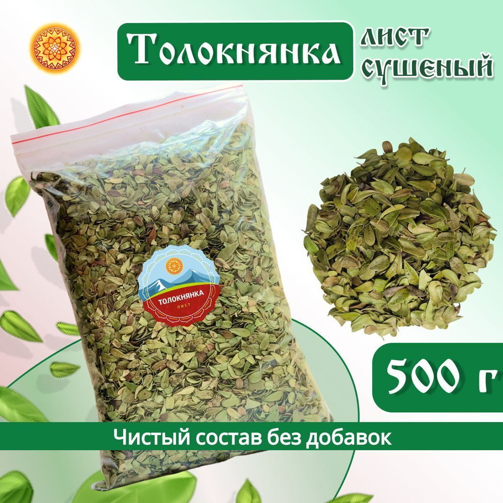 Лист толокнянки.