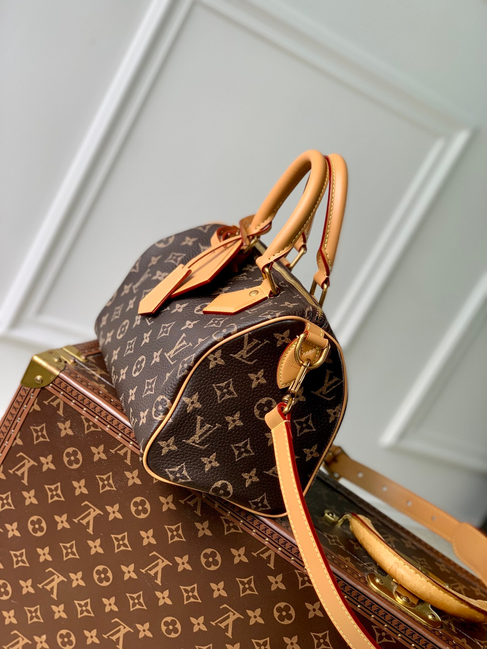 Louis Vuitton Speedy P9 Bandouliere 25