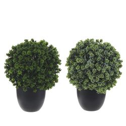 GAEM Цветочная композиция "Самшит", L19 W19 H27 см, 2в.