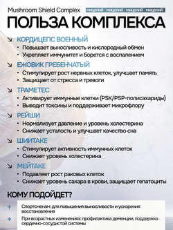 Грибной щит 120 капсул