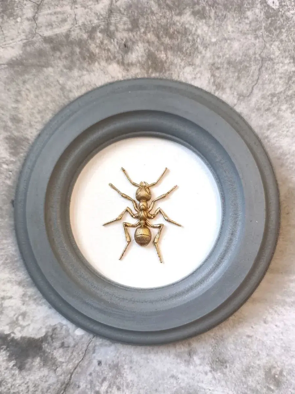 Панно 14 см. насекомые на стену для интерьера Муравей