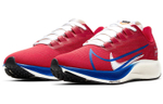 Кроссовки Nike Pegasus 37