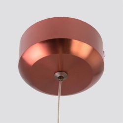 Citilux Вегас CL227013 LED Подвесной светильник Коричневый