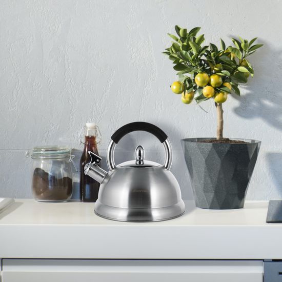 Чайник 2,7 л. из нержавеющей стали со свистком Kamille KM-1097 и ручкой "soft touch"