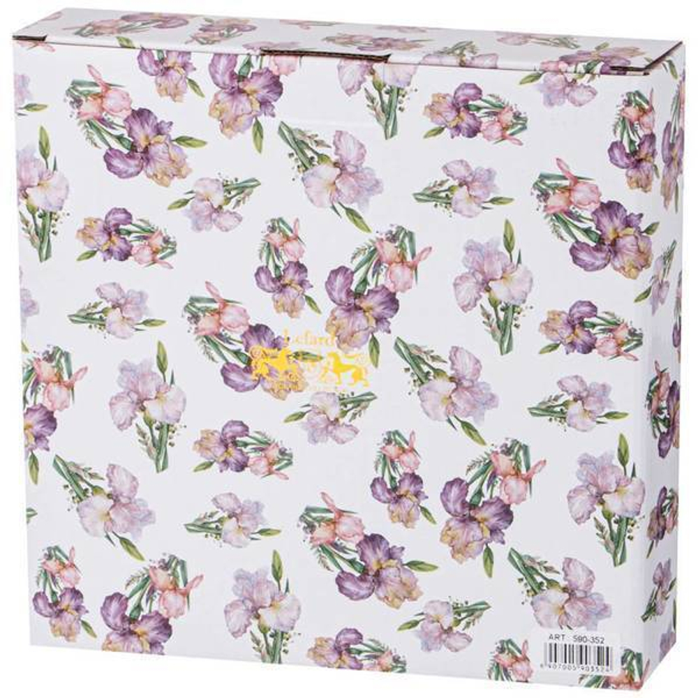 Набор тарелок закусочных 2шт, 20,5см «IRISES»