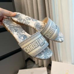 Christian Dior Dway Slide