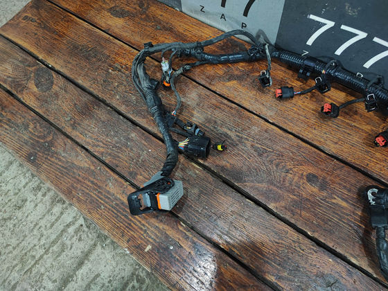 Проводка моторного отсека Haval Jolion 21-нв Б/У Оригинал 4001105XST10B