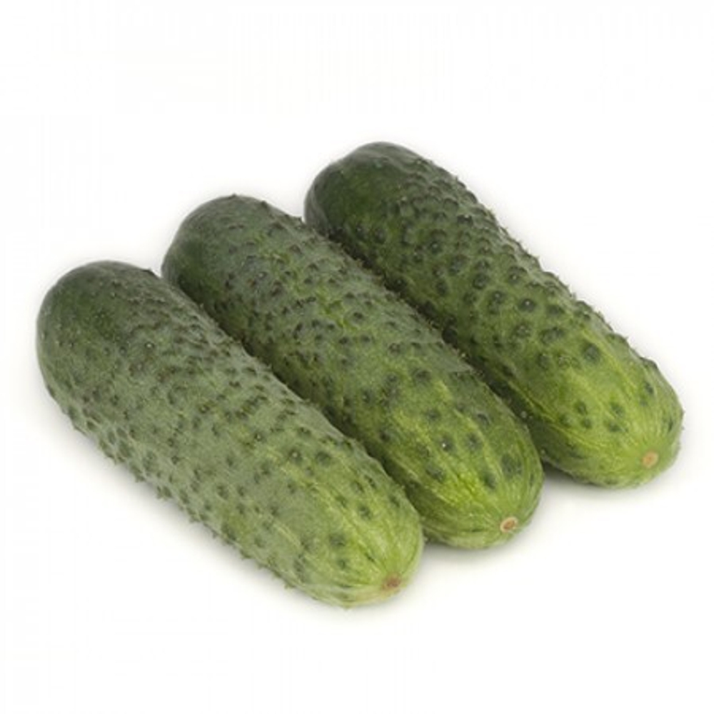 Огурец Караоке F1 7шт ВитаГрин ЭКСТРА