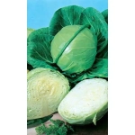 Семена Капуста белокочанная Июньская (Марс) 0.5гр Б/П