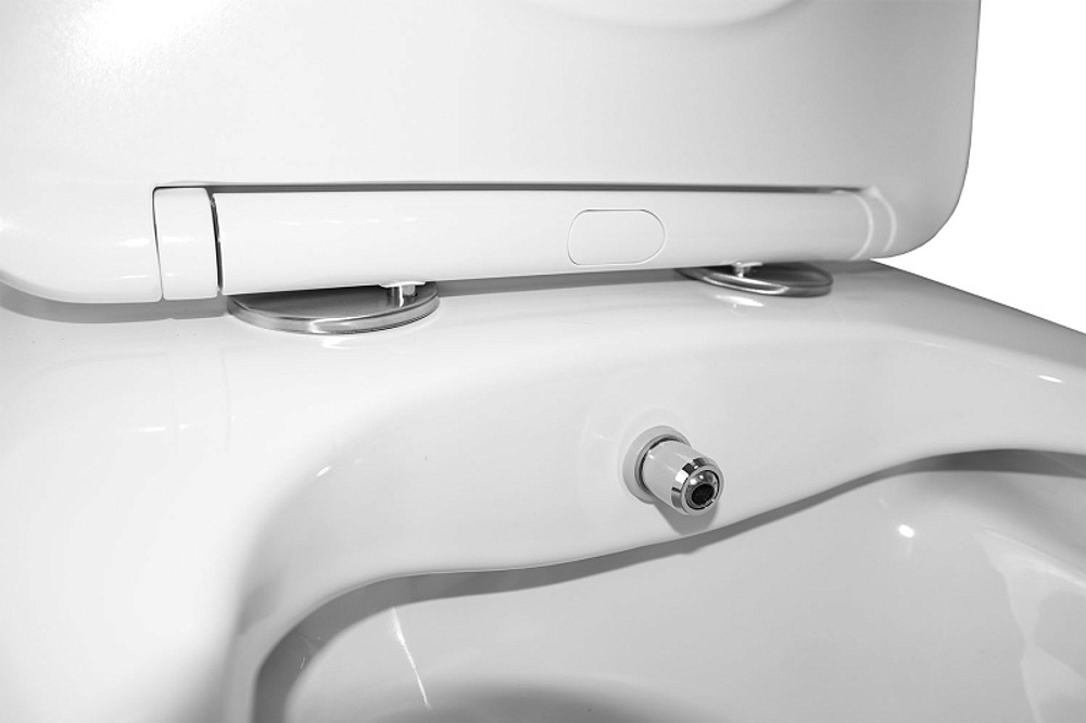 Унитаз моноблок с функцией биде Azario Lodi 350х665х750 напольный, безободковый, горизонтальный слив, сиденье дюропласт микролифт (AZ-8617B)