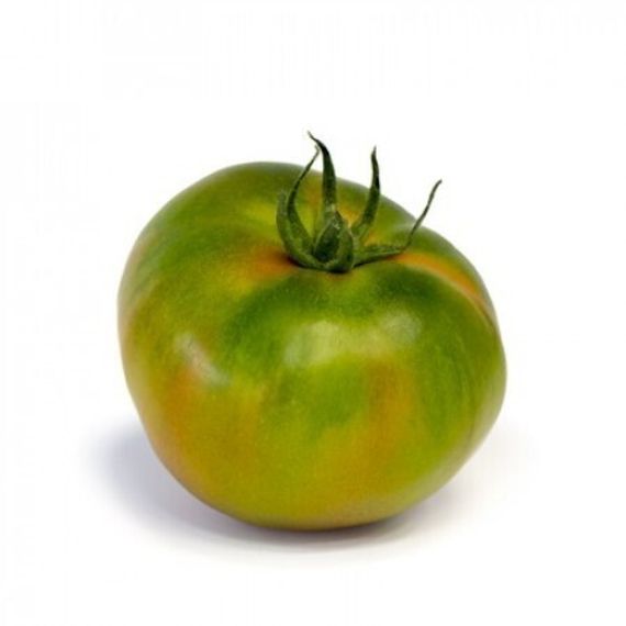 МОНТЕНЕГРО F1 семена томата Rijk Zwaan цена