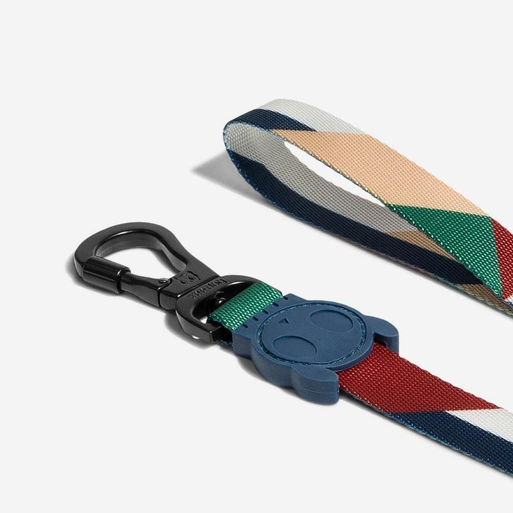 Поводок PACCO 120 см Zee.Dog