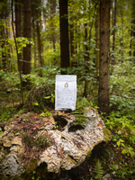 Сухой корм SHAMAN "Дух дикой природы" Кролик с оливками 2.5 кг; мелкая гранула; для взрослых собак; Класс Холистик