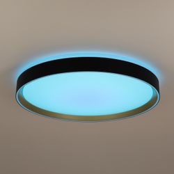 Citilux BOSS CL751451G LED RGB Светильник с пультом Чёрный с Золотом