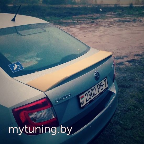 Спойлер фигурный для Skoda Rapid