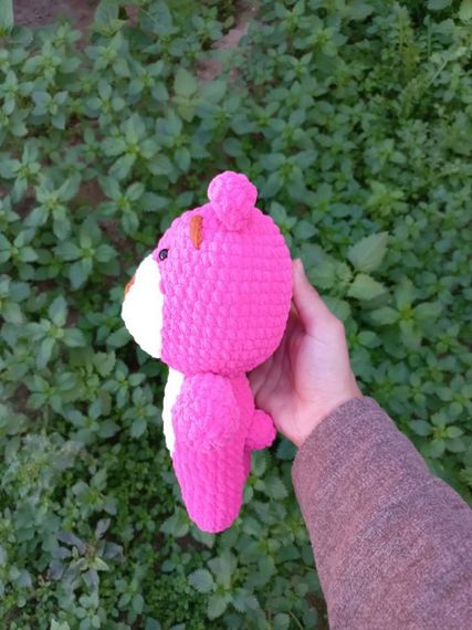 Toxunma Cizgi film qəhrəmanı “Lotso Bear”