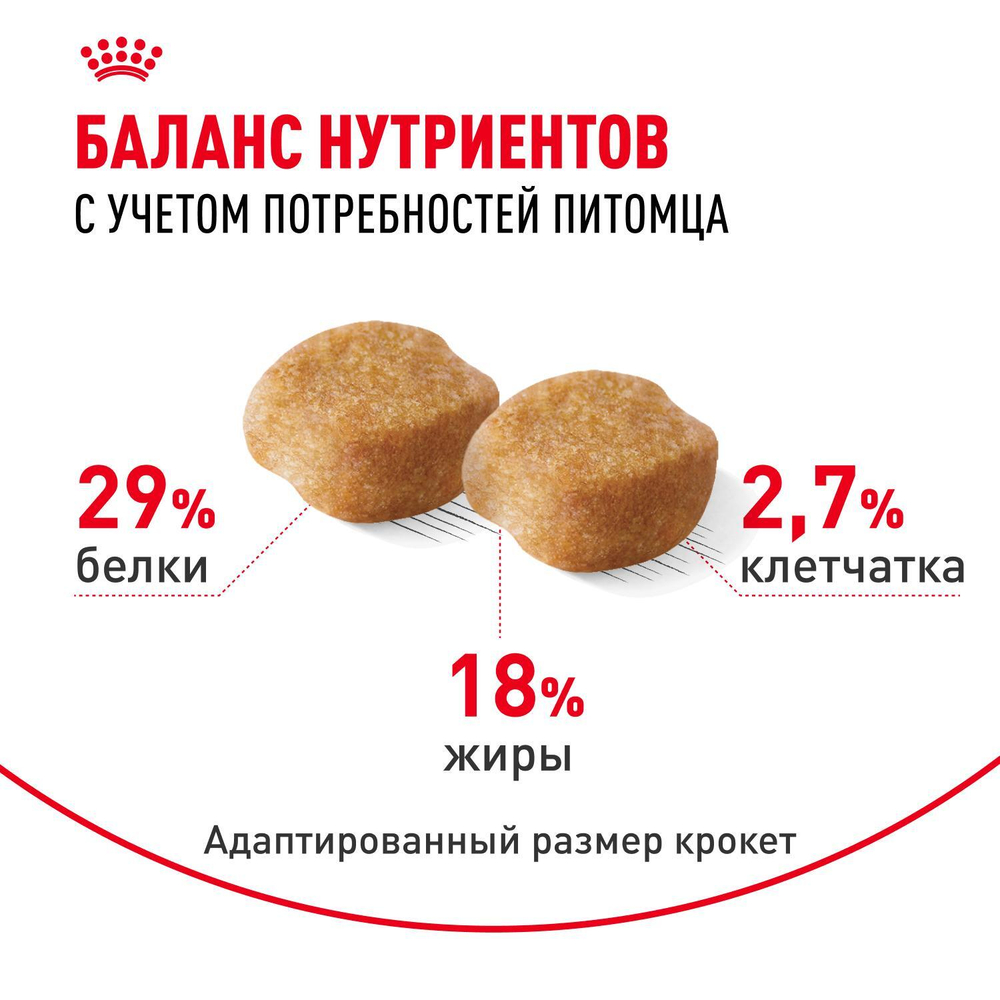 Royal Canin Yorkshire Terrier 8+ Корм сухой для стареющих собак породы Йоркширский Терьер 0,5кг