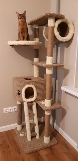 Дом для кота С-12