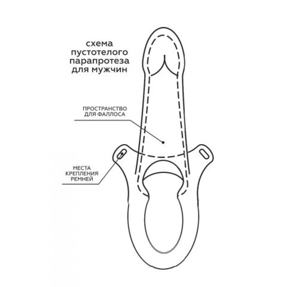 Анальный фиксатор + мужской фаллопротез на каркасе MEN STYLE