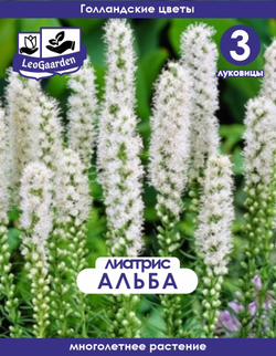 Лиатрис, Спиката Блу 3 шт