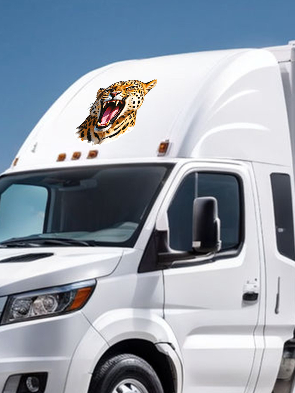 наклейка на авто