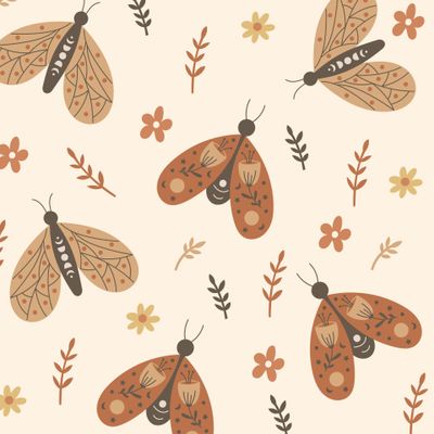 Бабочки и мотыльки