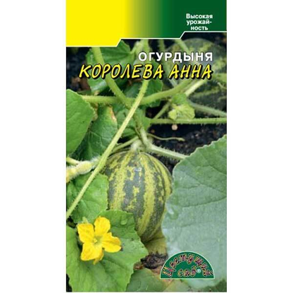 Огурдыня Королева Анна ЦветСад Ц