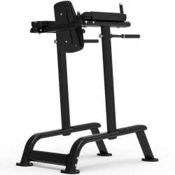 Impulse ITF8701 поднятие коленей / брусья