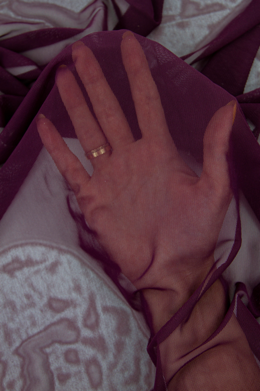 Сетка эластичная слива (Турция) метражом