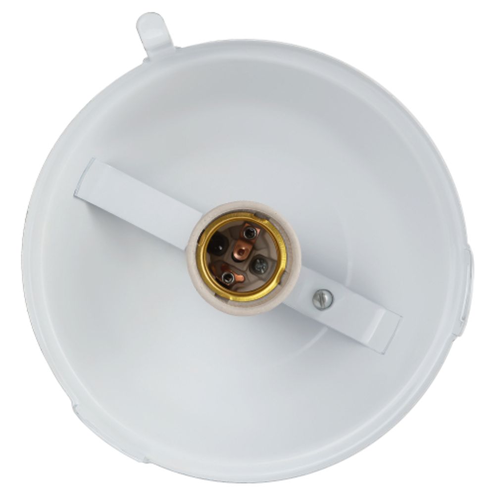 Светильник ЭРА НСП 02-100-001 без решетки Желудь сталь / стекло IP54 E27 max 100Вт 262х172 белый