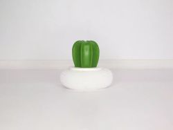 Щётка для мытья посуды «Кактус», пластиковая губка, d=7 см