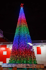 Комплект освещения 3D Премиум для елей высотой 24 м., 64 шт. * 24 м., Green Trees (3D24)