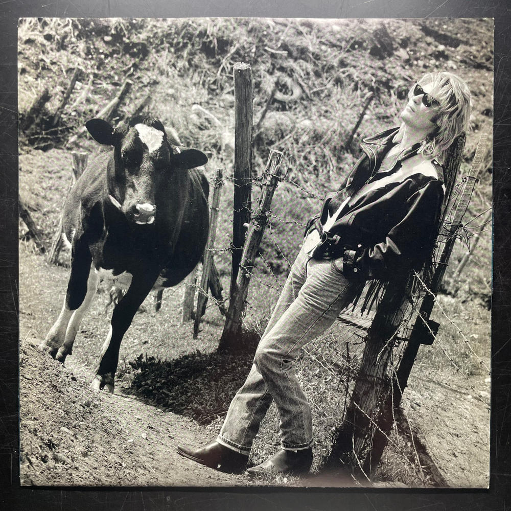 Daryl Hall ‎– Three Hearts In The Happy Ending Machine (США 1986г.)