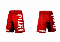 Шорты спортивные ММА Legenda Рать, красные