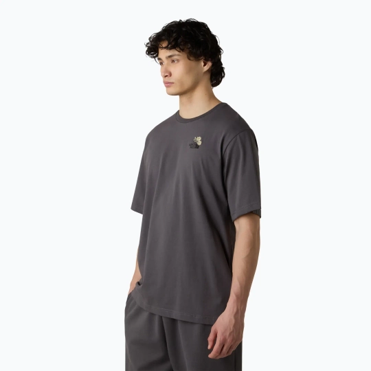 Футболка The North Face Flower Dome Relaxed Graphic темно-серая