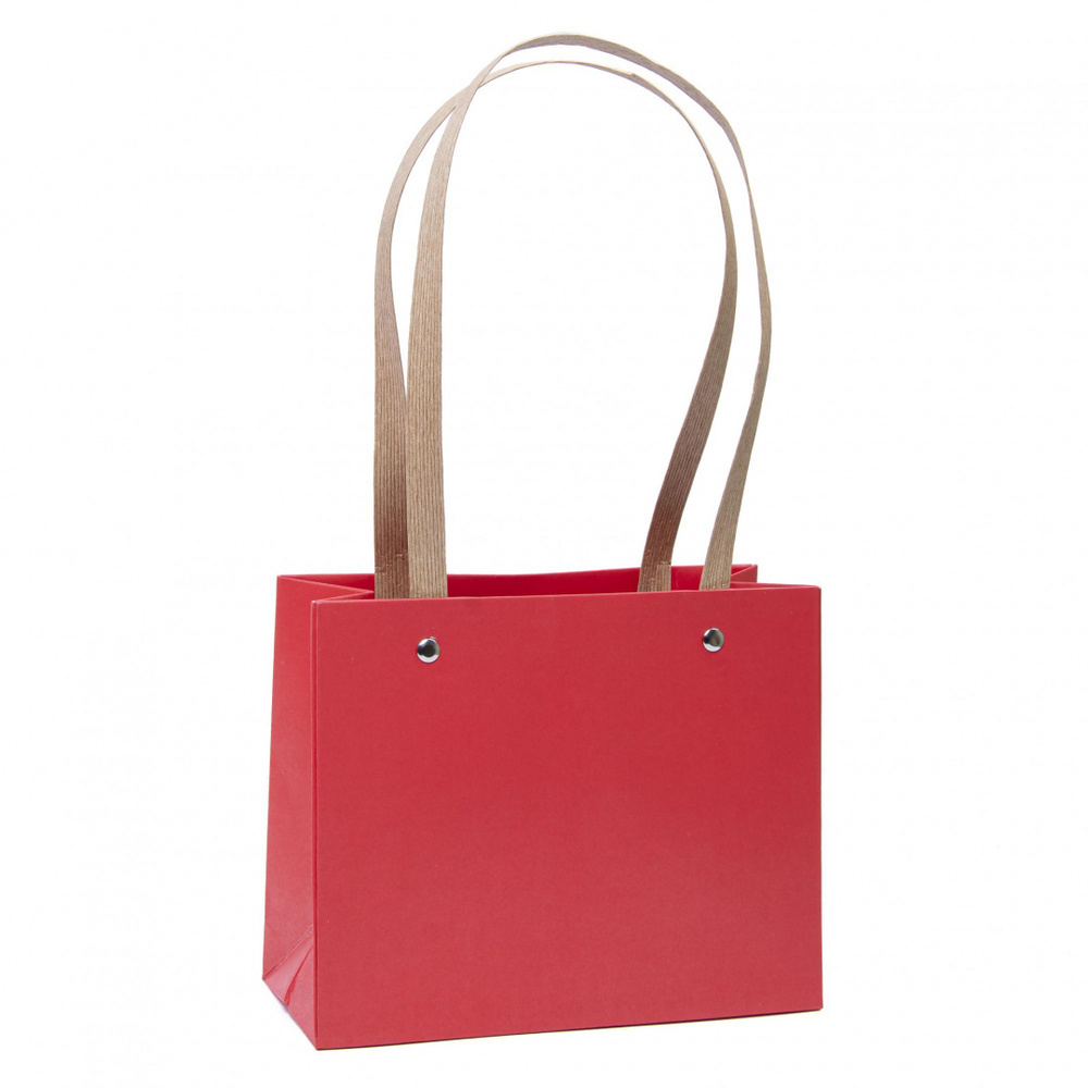 Пакет ПРЯМОУГОЛЬНЫЙ 22*18*10 с крафтовыми ручками