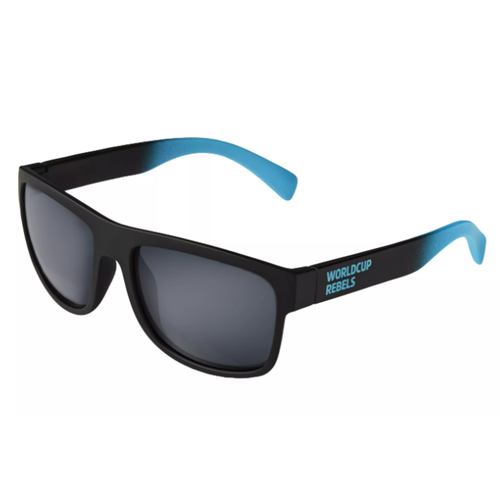 Очки HEAD SIGNATURE WCR black-blue/chrome кат. 3