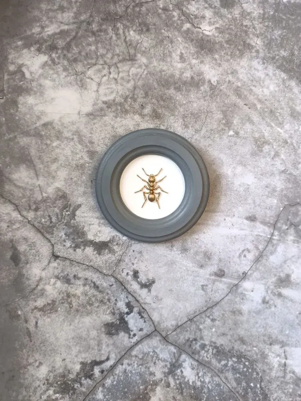 Панно 14 см. насекомые на стену для интерьера Муравей