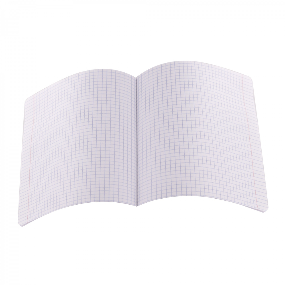 Тетрадь 18л., клетка, обложка пластик, Alingar, скрепка, блок офсет, 100% белизна, "Зелёный пастель"