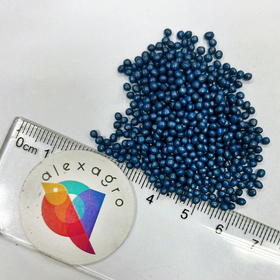 Глория F1 семена капусты белокочанной (Syngenta / ALEXAGRO) семена – фото 6