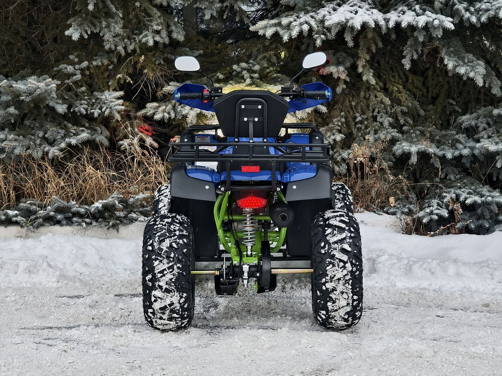 LION 200 LD синий