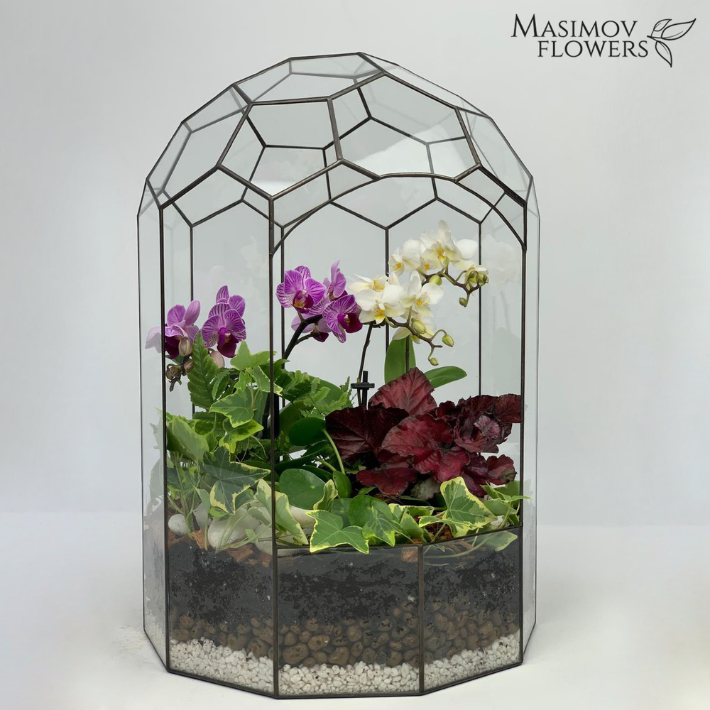 Композиция "Элавена"