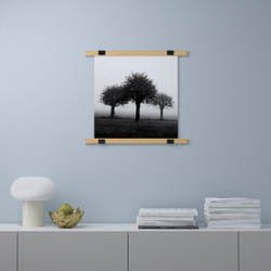 IKEA BILD  (ИКЕА БИЛД)  -  Плакат, Деревья, 50x50 см