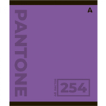 Тетрадь 48л., А5, клетка, Alingar "Pantone", скрепка, мелованый картон ( стандарт), блок офсет, 5 дизайнов в пленке т/у