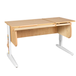 Растущая парта Дэми СУТ 25 (1200×610 мм)