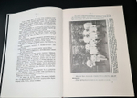 "Правда о Порт-Артуре (Русско-японская война)". E.K. Ножин - подарочное издание