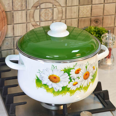 Кастрюля 5,5л коническая "Ромашки лето"