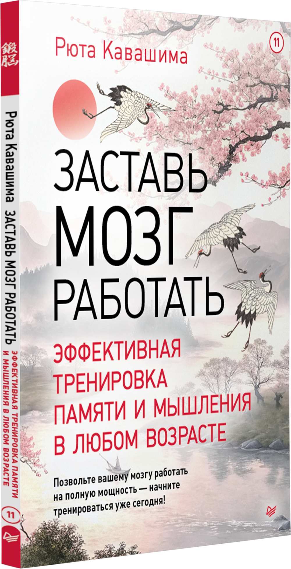 Заставь мозг работать. Эффективная тренировка памяти и мышления в любом возрасте